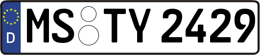 MS-TY2429