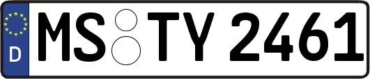 MS-TY2461
