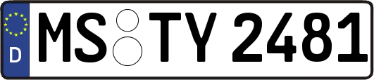 MS-TY2481