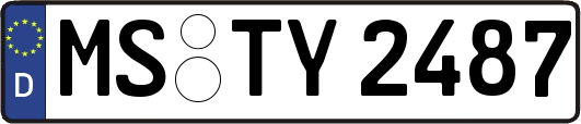 MS-TY2487