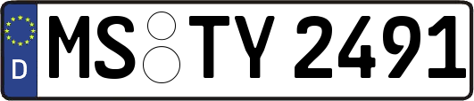 MS-TY2491