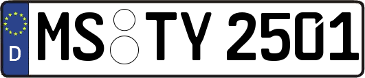 MS-TY2501