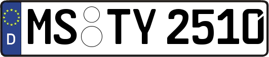 MS-TY2510