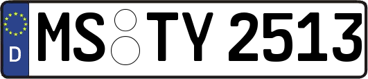 MS-TY2513