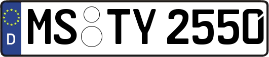 MS-TY2550
