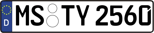 MS-TY2560