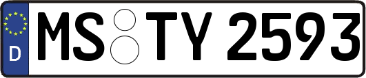 MS-TY2593