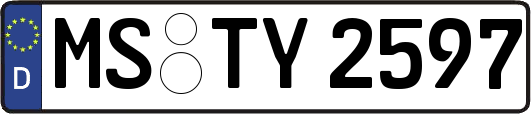 MS-TY2597
