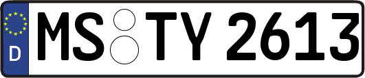 MS-TY2613