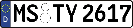 MS-TY2617