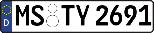 MS-TY2691