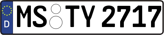 MS-TY2717