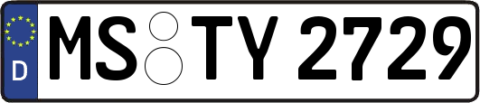 MS-TY2729