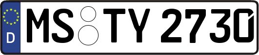 MS-TY2730