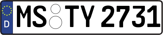 MS-TY2731