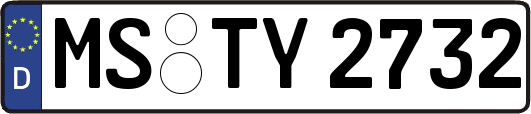 MS-TY2732