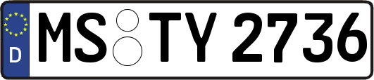 MS-TY2736