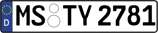 MS-TY2781