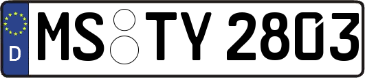 MS-TY2803