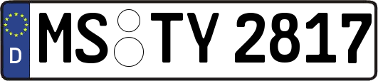 MS-TY2817