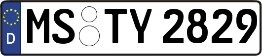 MS-TY2829