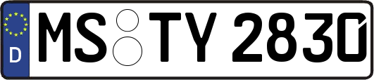 MS-TY2830