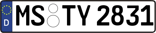 MS-TY2831