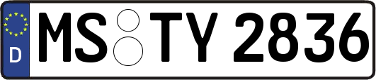 MS-TY2836