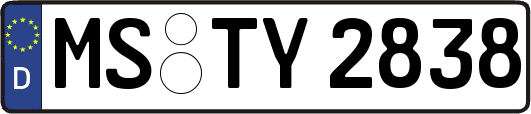 MS-TY2838