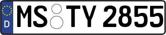 MS-TY2855