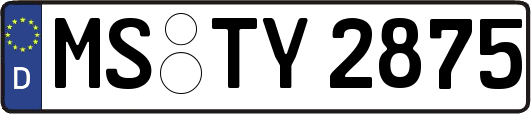 MS-TY2875
