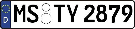 MS-TY2879