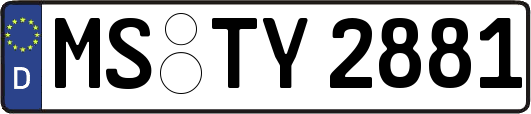 MS-TY2881