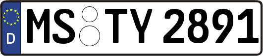 MS-TY2891