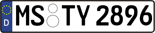 MS-TY2896