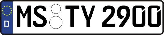 MS-TY2900