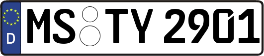 MS-TY2901