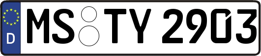 MS-TY2903