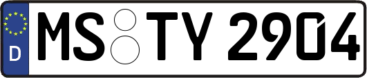 MS-TY2904