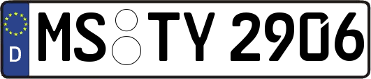 MS-TY2906
