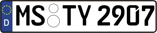 MS-TY2907