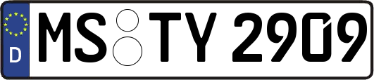 MS-TY2909