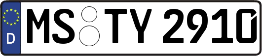 MS-TY2910