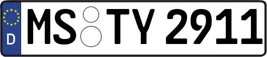 MS-TY2911