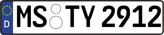 MS-TY2912