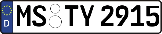 MS-TY2915