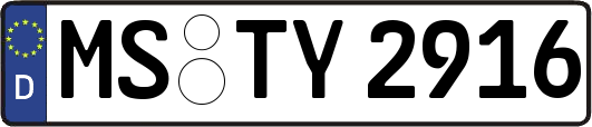 MS-TY2916