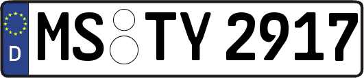 MS-TY2917