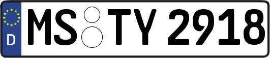MS-TY2918