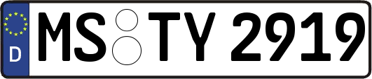 MS-TY2919